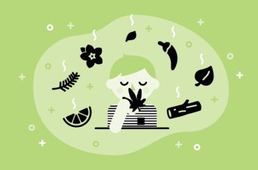 Qué son los terpenos