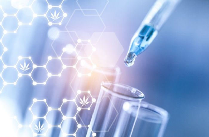 Estudios cientificos sobre cannabis