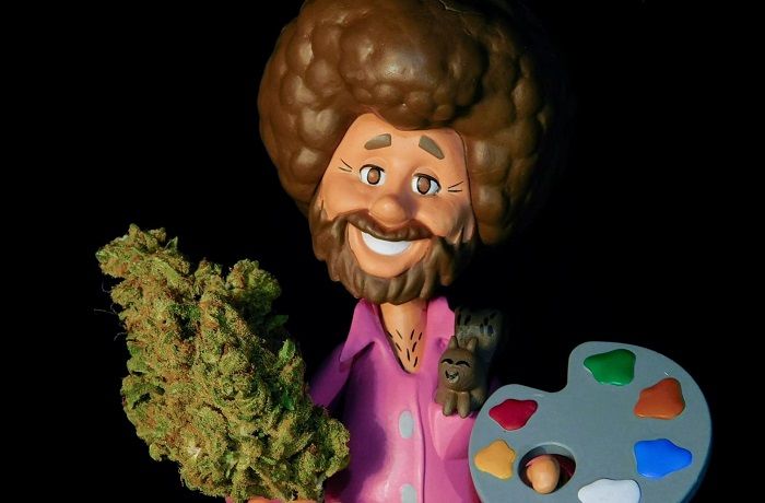 Conejos consumo marihuana