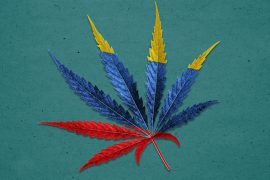 Cannabis de uso adulto Colombia