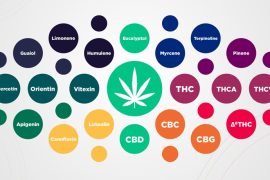 Efecto sequito cannabis